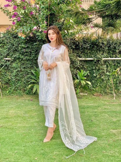 White Pim (SS-11) - suidhagaofficial